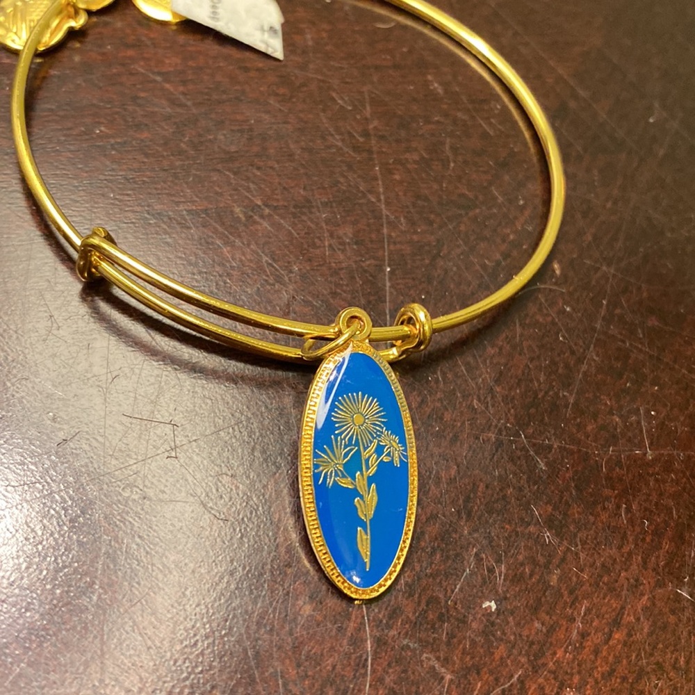 Bracelets (2) - Picture 5 of 10